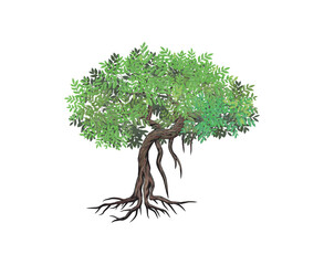 Sticker - mangrove tree hand drawn vector logo. tree and roots.
