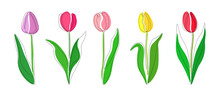 Set Lilac, Pink, Yellow And Red Tulips Continious One Line On A White Background. Five Multi-colored Tulips In One Line. Vector Illustration.