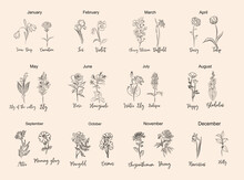 Set Of Flower Line Art Vector Illustrations. Carnation, Daffodil, Larkspur, Honeysuckle, Tulip, Lilies, Peony,  Cosmos Hand Drawn Black Ink Illustrations. Birth Month Flowers For Jewelry, Tattoo, Logo