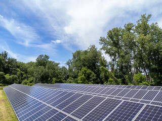 solar panels or photovoltaic in power station as renewable and sustainable form of energy or electricity