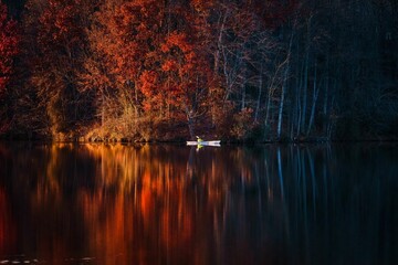 Sticker - Breathtaking view of a man kayaking in lake with orange trees in the background reflected in water