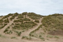 Scenic View Of Sand Dunes With Grass Around Crosby Beach In England In Cloudy Sky Background