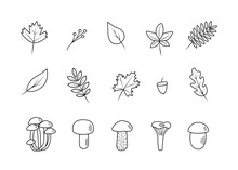 Doodle Set Of Tree Leaves And Mushrooms, Autumn Concept, Vector Illustration.