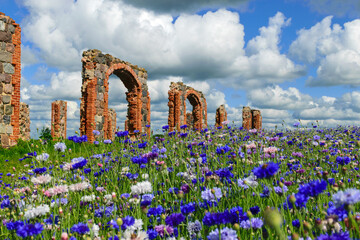 beautiful ruins of an old barn made of boulders and red bricks in the middle of a field of cornflowers, colorful field of cornflowers