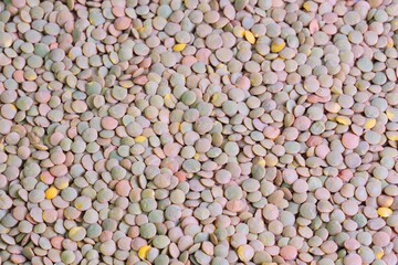 Sticker - view of a pile of dried brown lentils