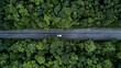 © Kalyakan - Aerial view green forest and asphalt road, Top view forest road going through forest with car adventure, Ecosystem ecology healthy environment road trip travel.