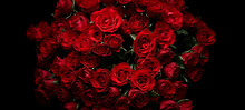Bunch Of Red Roses Flowers 