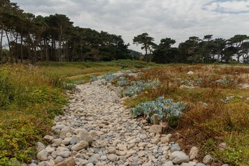 Sticker - Beautiful view of a village path made of pebbles passing through field and forest under cloudy sky