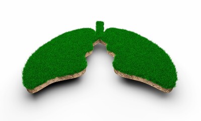 Poster - 3D rendering of a lung shaped land piece covered with greenery on white background