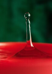 Poster - macro photography of water drop