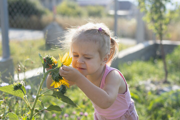 Canvas Print - little girl sniffing a sunflower.