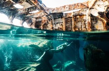 Diver Swimming In A Shipwreck