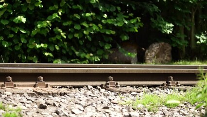 Sticker - A diesel locomotive travels slowly over old wooden railway sleepers.