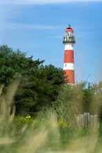 Vertical Shot Of  Ameland Lighthouse Behind Green Trees