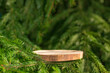 A round carved slab of wood lies on the branches of spruce, pine, a stand for an object, a podium for cosmetics. Beautiful bokeh of juicy greenery. 