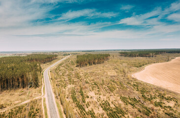 Wall Mural - Aerial view of highway road through deforestation area landscape. Green pine forest in deforestation zone. Top view of field and forest landscape in sunny spring day. Drone view. Bird's eye view.