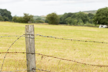 Selective Focus Wooden Fence Post And Rusty Barbed Wire Fencing English Countryside
