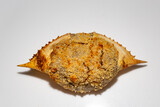 Crab shell takes a typical Brazilian taste with crab meat roasted inside the shell of the crustacean