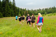 © Solid photos - Young family walking in the woods on beautiful spring day