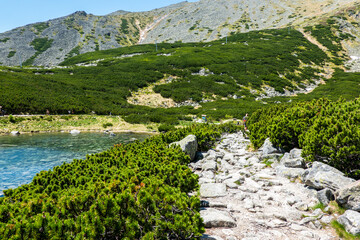 Rocky lake natural lake in the High Tatras