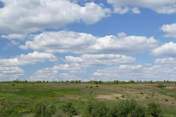 Beautiful landscape with green trees on sunny day