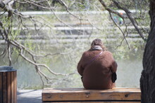 Full-color Horizontal Photo. A Woman Is Resting On A Bench On A Warm Sunny Spring Day In A Park On The River Bank. Sitting With His Back In Outerwear.