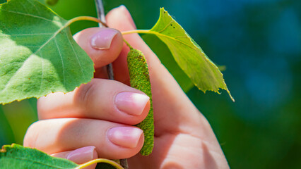 Manicure, beauty sphere.