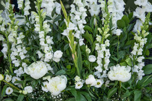 Bukiet, Kompozycja Kwiatowa Z Białych Kwiatów Mieczyków Na ślub, Przyjęcie