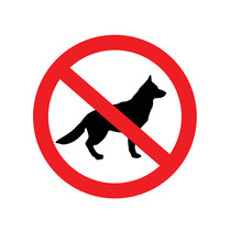 Classic No Dogs Allowed Sign