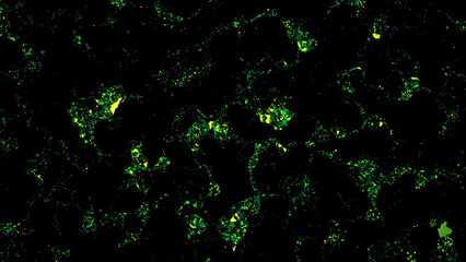 Poster - Green movement of small particles motion background. Design. Shining green stains on a black background, seamless loop.