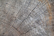 © Oleh Rode - High quality white wood texture with lines. Photorealistic 4k texture