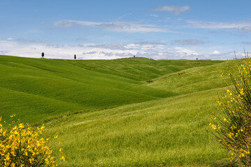 Wall Mural - View of the Scenic Tuscan Countryside