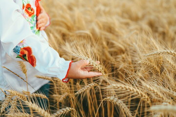 Wall Mural - A Ukrainian girl in an embroidered shirt walks around the field, touching the ears with her hands