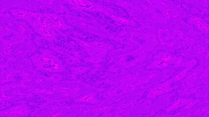 Poster - Bright purple background.Design.Large purple blots that create patterns in animation.