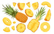 Wide set of pineapple fruit. Whole prickly pineapple, half and round slices of pineapple, citrus vitamin food, natural juicy product, exotic dessert, peeled pineapple vector illustration