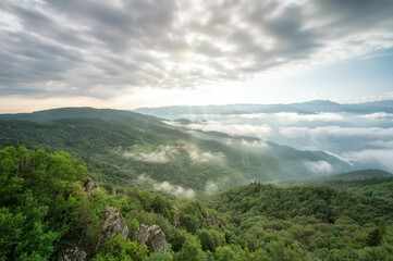 Wall Mural - Amazing aerial view of beautiful low clouds creeping on the tree-covered mountain slopes, the Rhodopes in Bulgaria at sunrise.