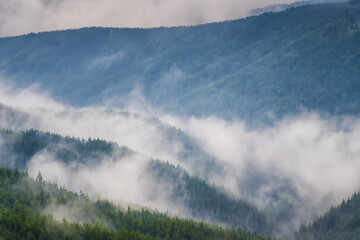 Wall Mural - Amazing aerial view of beautiful low clouds creeping on the tree-covered mountain slopes, the Rhodopes in Bulgaria at sunrise.