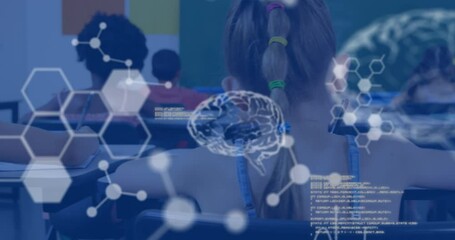 Poster - Animation of data processing over diverse schoolchildren learning