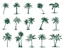 A Set Of Silhouettes Of Palm Trees. Tropical Palm Tree Silhouette For Your Art