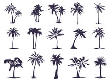 A Large Set Of Silhouettes Of Palm Trees. Palm Tree Silhouette For Your Needs And Art