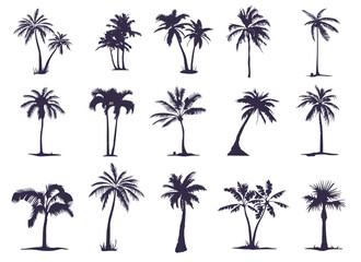 A large set of silhouettes of Palm trees. Palm tree silhouette for your needs and art