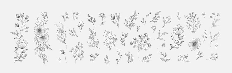 Wall Mural - Set of floral compositions. Botanical arrangement of leaves branches and blooming flowers. Vector ornamental herbs in boutonniere and bouquet. Wedding design