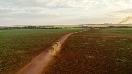 Wall Mural - truck transporting freshly cut sugar cane transshipment in plantation vinasse