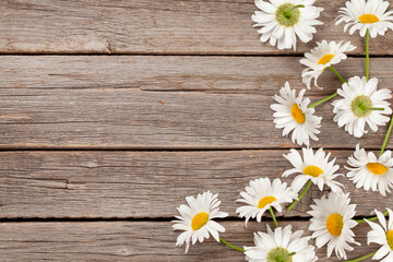 Sticker - Chamomile garden flowers on wooden background