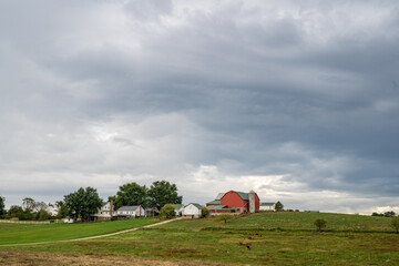 Wall Mural - Amish farm on a green hill with cows grazing under a cloudy sky | Rural Holmes County, Ohio