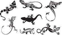 Lizards Salamanders Reptiles Tattoos In Vector