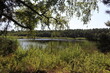 Rezerwat przyrody Śliże - widok na jezioro
