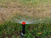 Close Up Of Automatic Sprinkler Watering Grass Dying During Drought