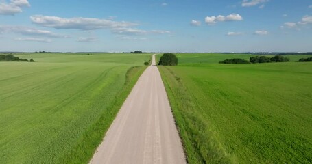 Wall Mural - flight over the hills and gravel road on a summer day with a blue sky and fluffy clouds