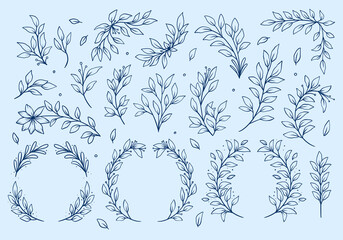 Poster - flower leaf leaves vector outline set collection rustic hand drawing style